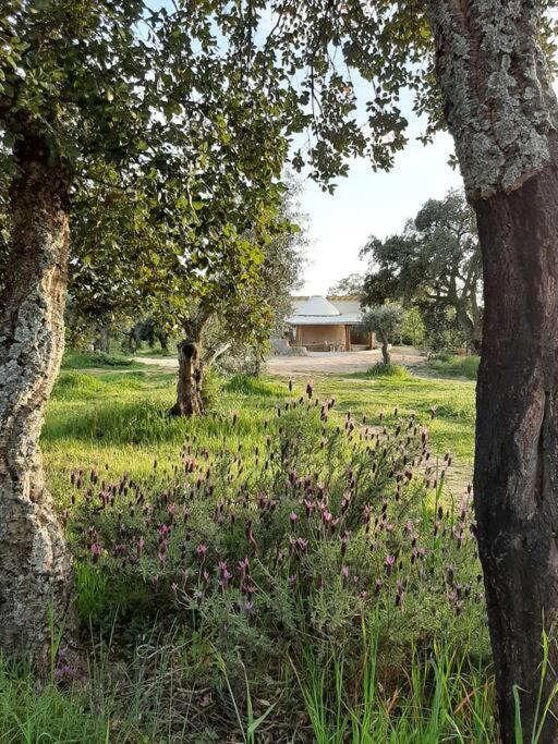Quinta Terramadome: Dome Incomum & Responsavel Villa เปนามากอร์ ภายนอก รูปภาพ