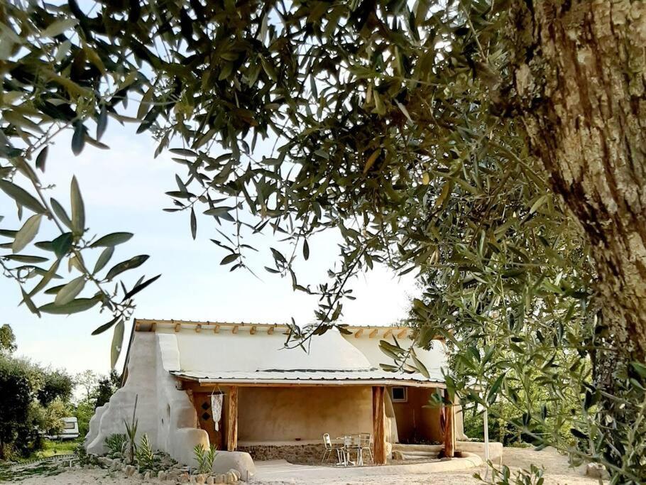 Quinta Terramadome: Dome Incomum & Responsavel Villa เปนามากอร์ ภายนอก รูปภาพ